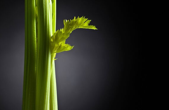 野菜のスーパーマーケット等への卸はOZAKIフードプランニング