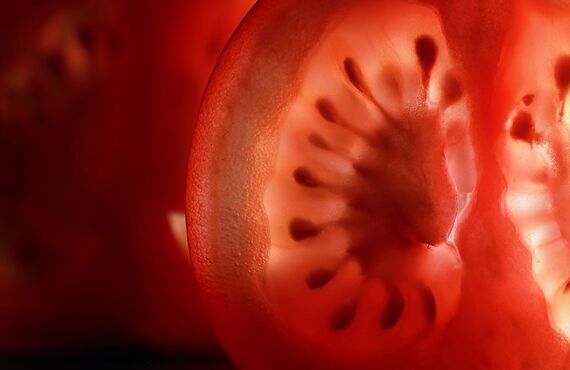 無農薬野菜の産地直送は卸OZAKIフードプランニングへ